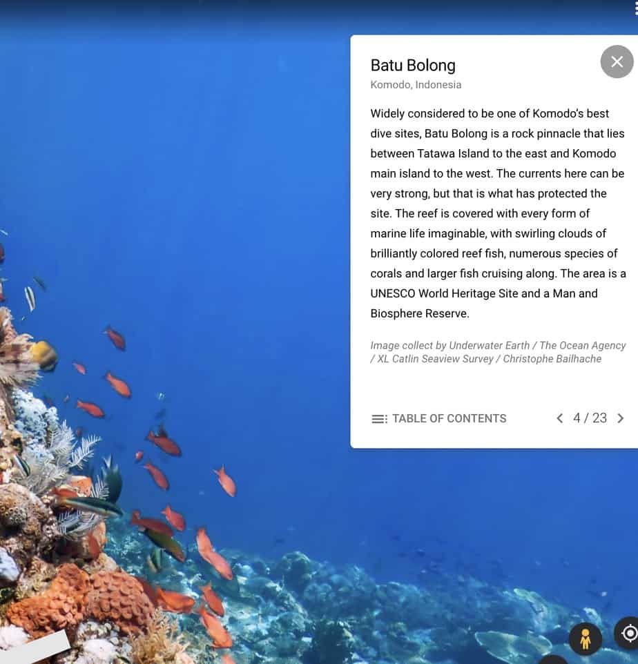 Batu Bolong Dive Site, Komodo, Indonesia on Google Earth "The World's Ocean"